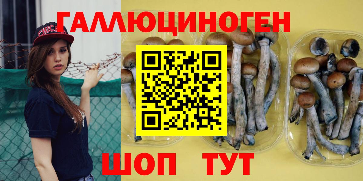 Галлюциногенные грибы Psilocybe Гагарин