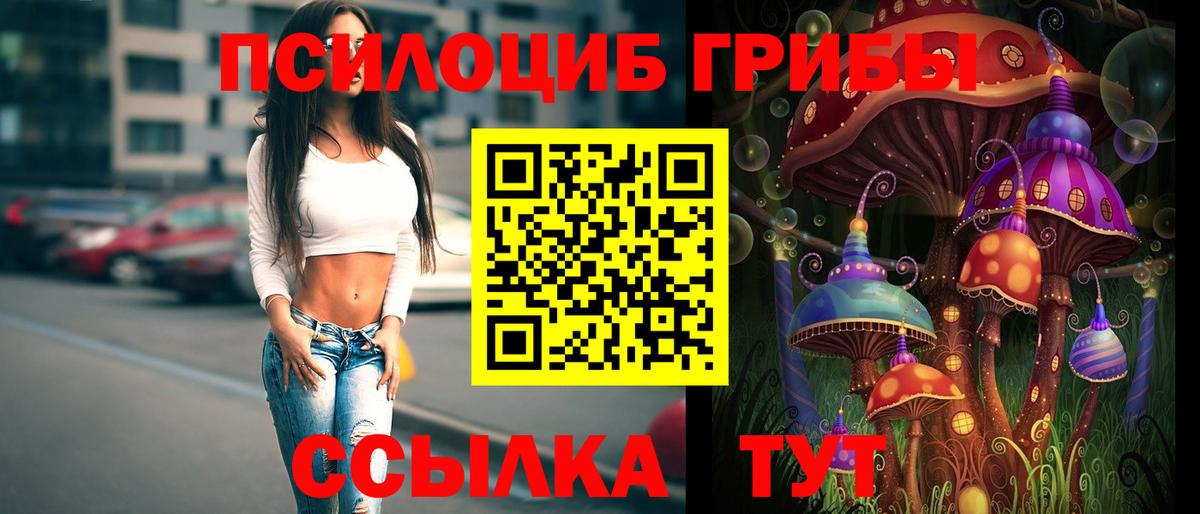 Гагарин  Псилоцибиновые грибы Psilocybine cubensis  Вход с VPN 